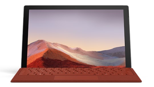 谢通门清洁和维护 Surface